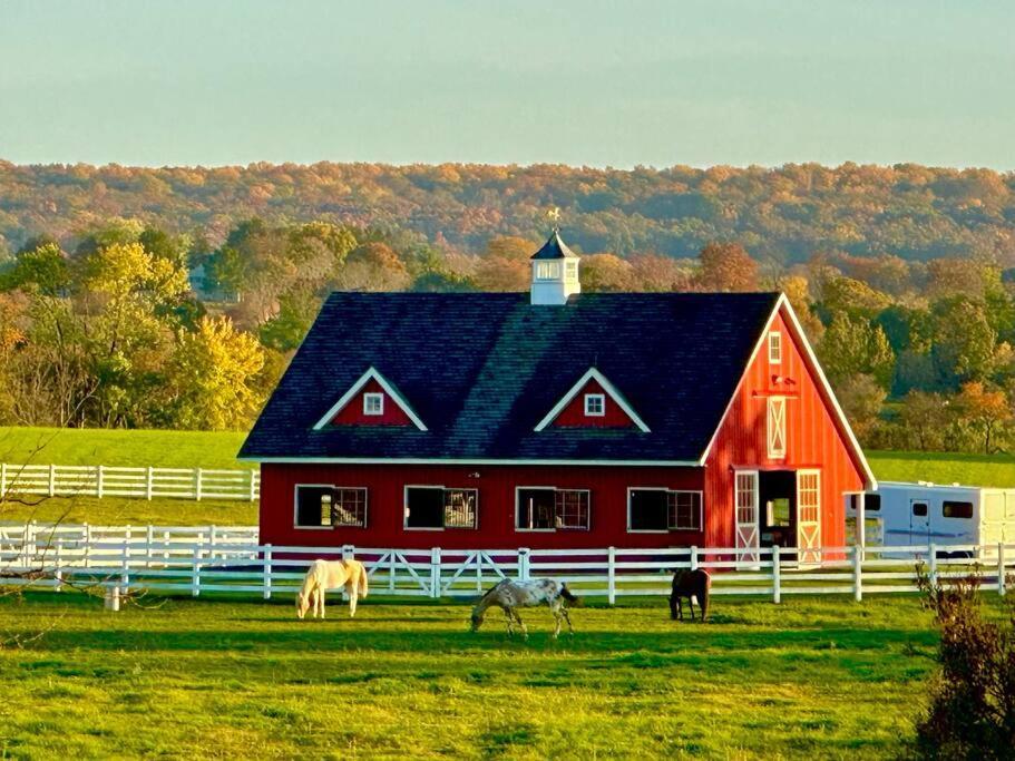 Chestnut Hills Farm Villa Flemington Exterior photo