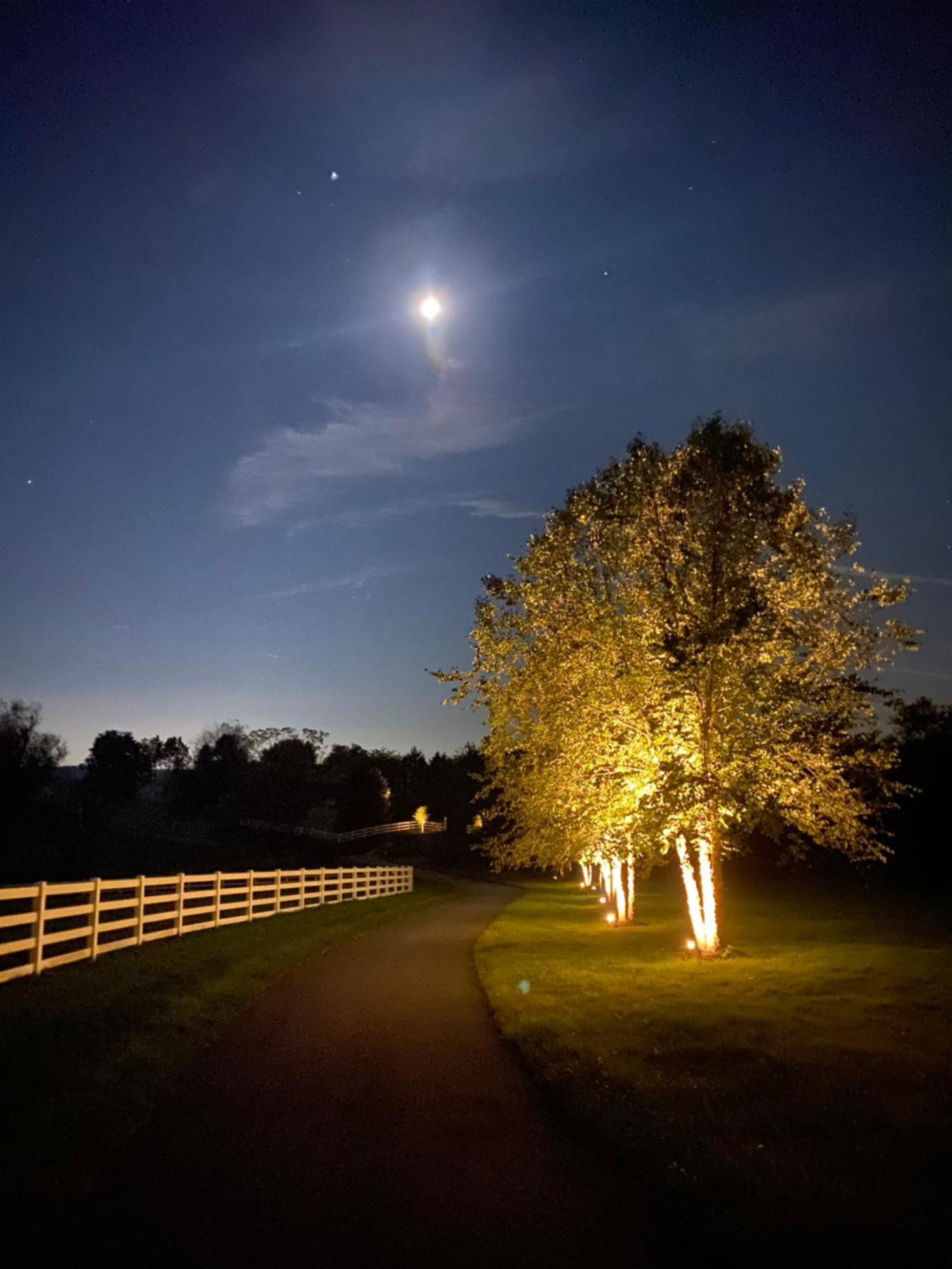 Chestnut Hills Farm Villa Flemington Exterior photo