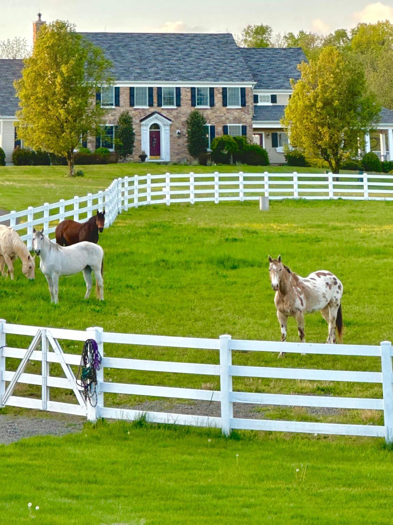 Chestnut Hills Farm Villa Flemington Exterior photo